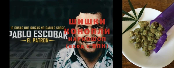 кокс Арсеньев