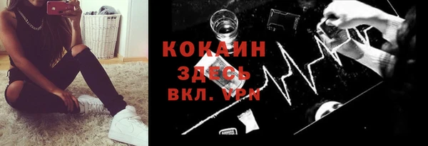 кокс Арсеньев
