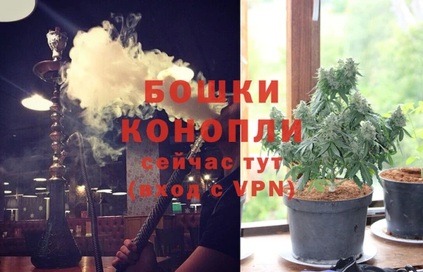 кокс Арсеньев