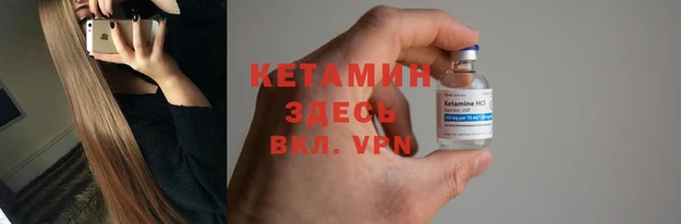 гидра Аркадак