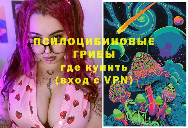 гидра Аркадак