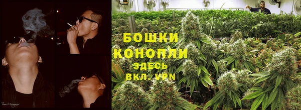 гидра Аркадак