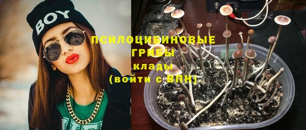 мдпв Лихославль