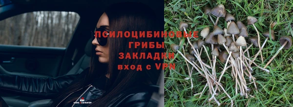 кокс Арсеньев