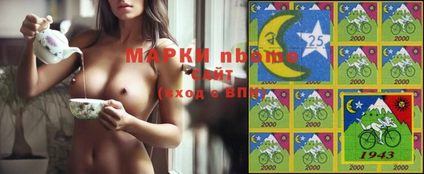 кокс Арсеньев